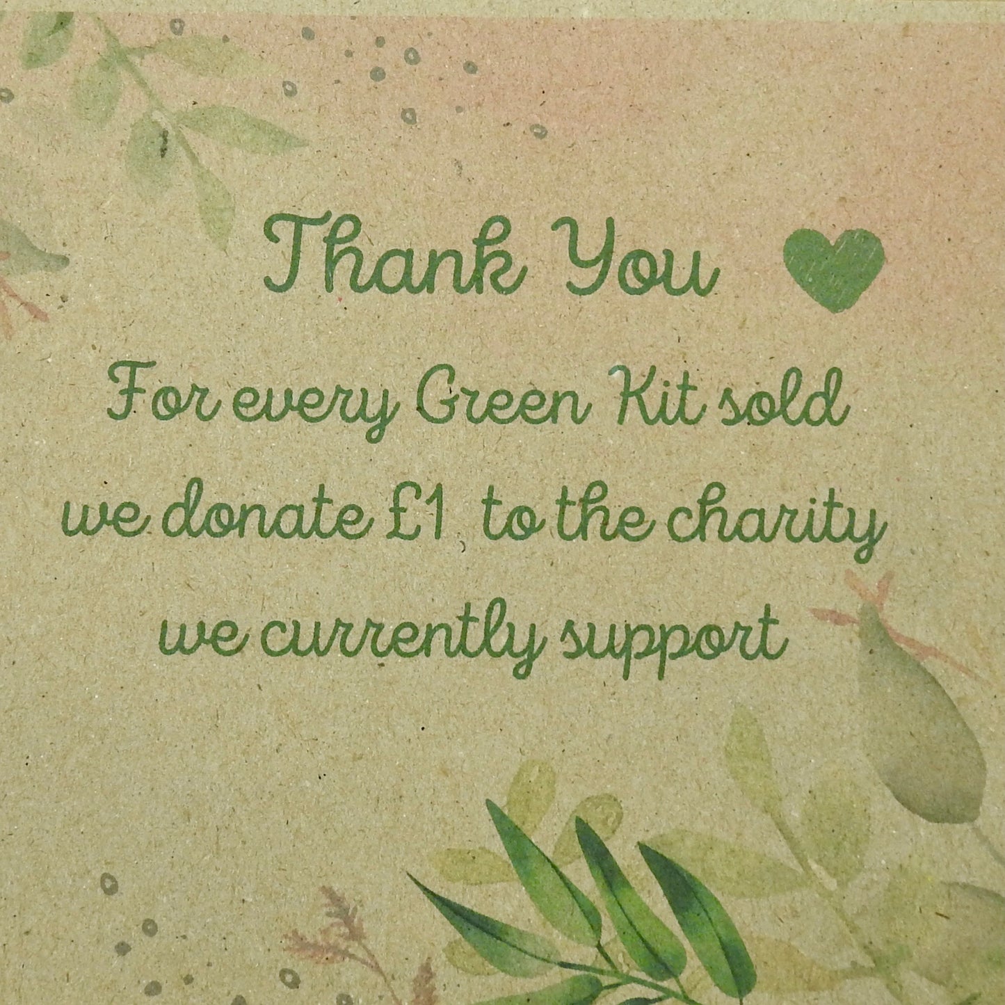 THE GREEN KIT HOUSEHOLD